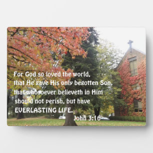 Plaque Photo Jean 3:16 Car Dieu a tant aimé le monde