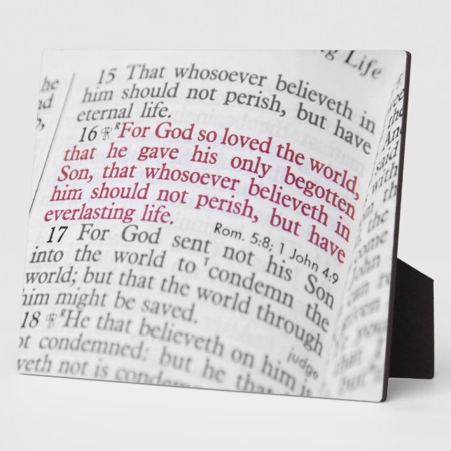 Plaque Photo John 3:16 (Côté)