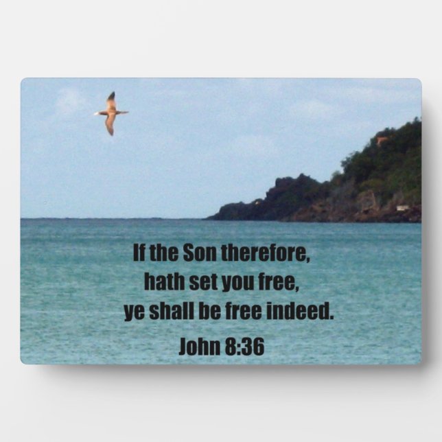 Plaque Photo John 8:36 (Devant)