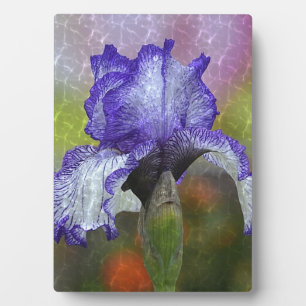 Plaque Photo Joli Iris Violet