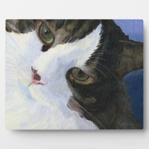 Plaque Photo Jolie Kitty