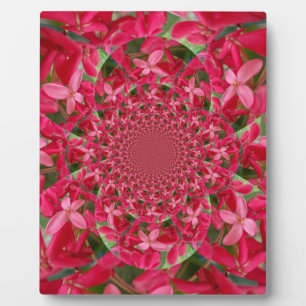 Plaque Photo Kaleidoscope de Crimson : Blood Milkweed Flower Ar