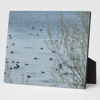 Plaque Photo La plaine des oiseaux du lac