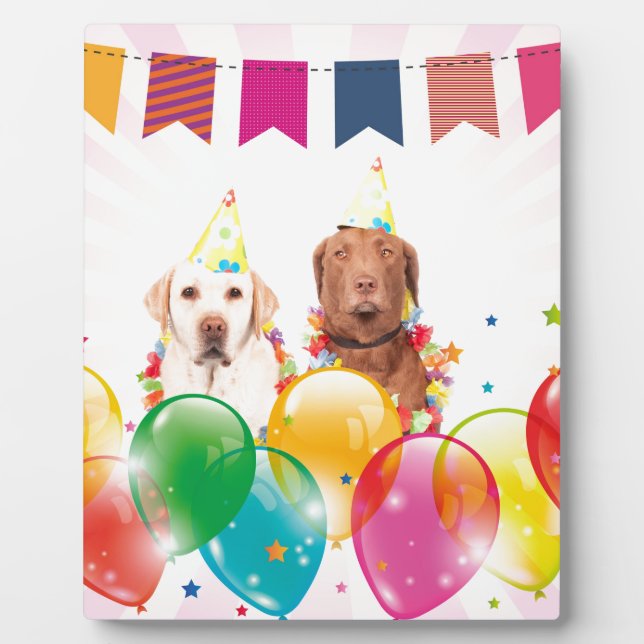 Plaque Photo Labrador Retriever Dog Balloons Anniversaire (Devant)