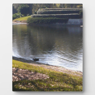 Plaque Photo Lac et Pierre