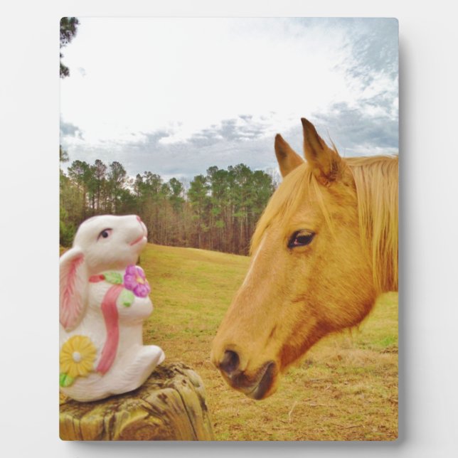 Plaque Photo Lapin blanc et Cheval jaune (Devant)