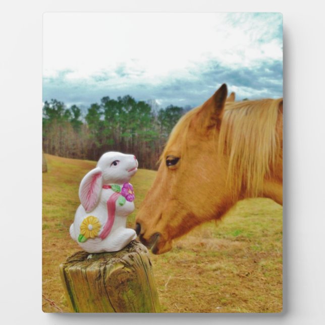 Plaque Photo Lapin blanc et Cheval jaune (Devant)