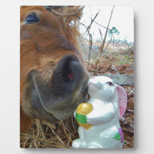 Plaque Photo Lapin de Pâques et cheval Brown