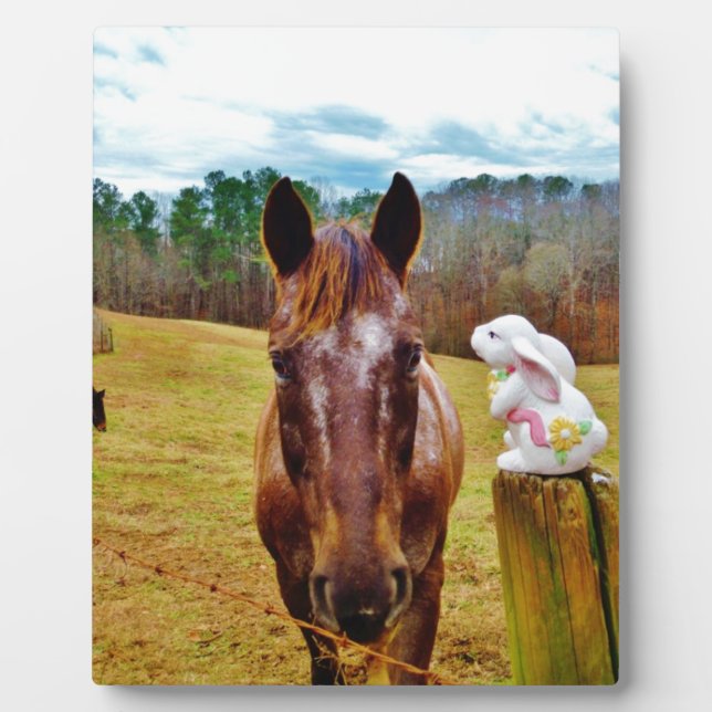 Plaque Photo Lapin de Pâques et cheval Brown (Devant)
