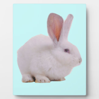 Plaque Photo Lapin de Pâques Mignon Kawaii