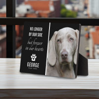 Le Chien Loyal N'Est Plus De Notre Côté | Garde ph
