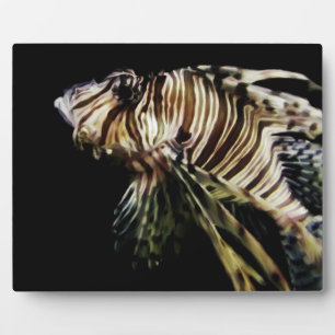 Plaque Photo Le poisson-Lion