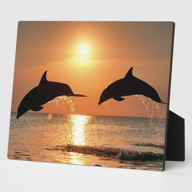 Plaque Photo Les dauphins du coucher du soleil (Côté)