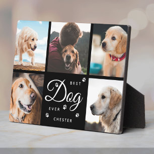 Plaque Photo Les pattes commémoratives de Best Dog Ever - Colla