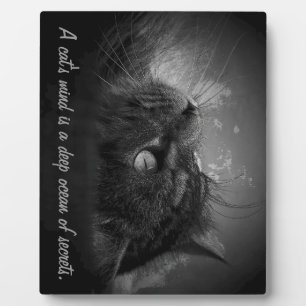 Plaque Photo L'esprit d'un chat est un océan profond de secrets