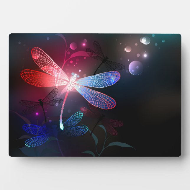 Plaque Photo libellule rouge brillante (Devant)