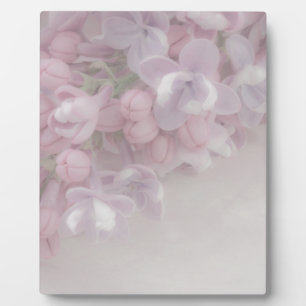 Plaque Photo Lilac