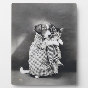 Plaque Photo L'Infirmière Chaton Chaton Harry Whittier Libère 1