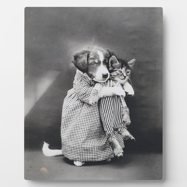 Plaque Photo L'Infirmière Chaton Chaton Harry Whittier Libère 1 (Devant)
