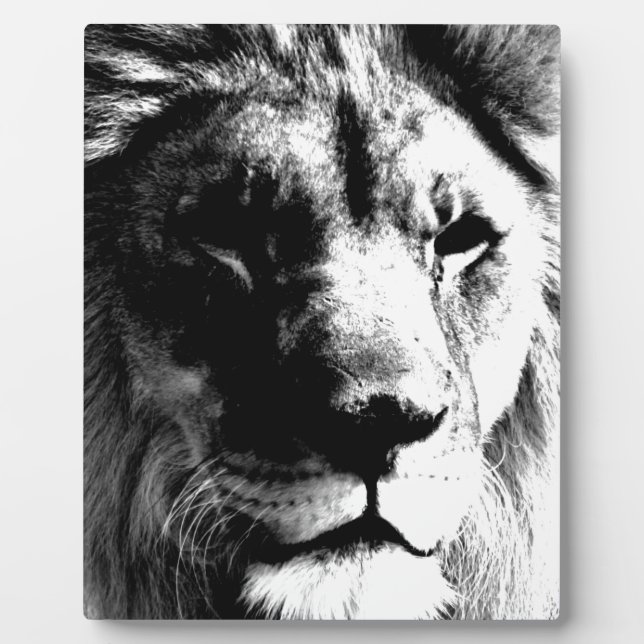 Plaque Photo Lion noir et blanc (Devant)