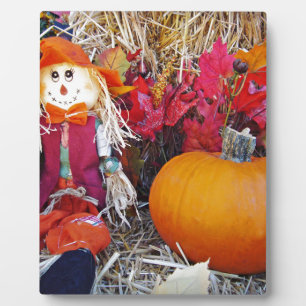 Plaque Photo Little Mister Scarecrow