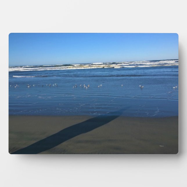 Plaque Photo Long Beach, Washington (Devant)