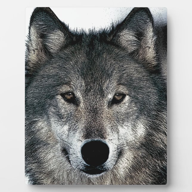 Plaque Photo Loup gris (Devant)