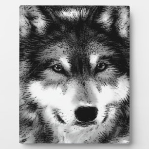 Plaque Photo Loup noir et blanc