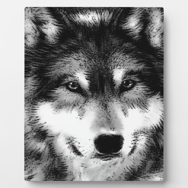 Plaque Photo Loup noir et blanc (Devant)