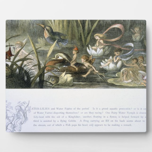 Plaque Photo Lys d'eau et fées d'eau, illustration de (Devant)