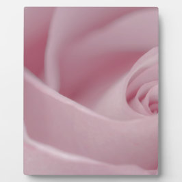 Plaque Photo Macro rose