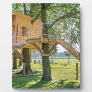 Plaque Photo Maison en bois en chêne avec herbe