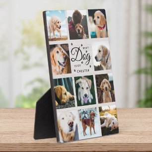 Plaque Photo Meilleur Chien Jamais Ferme Rustique Photo Collage