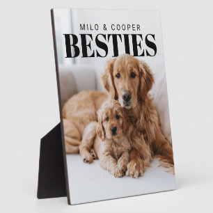 Plaque Photo Meilleurs amis Animaux PhotoPop