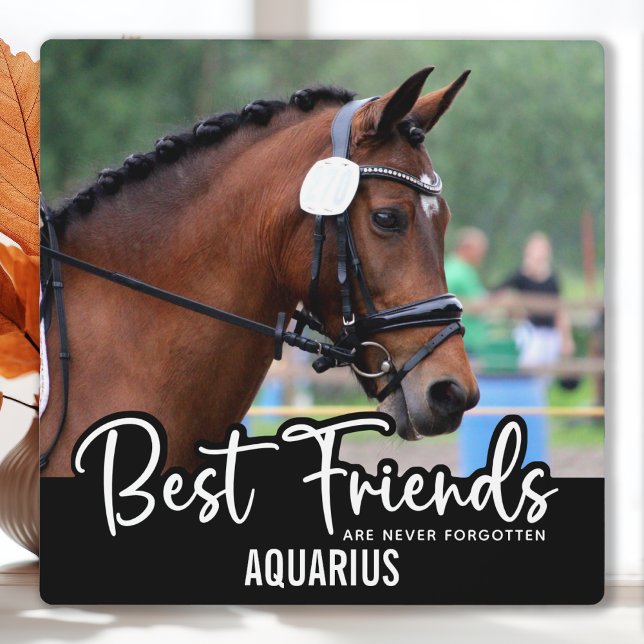 Plaque Photo Meilleurs amis Jamais oublié Horse Pet Memorial (Créateur téléchargé)