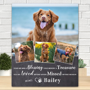 Plaque Photo Mémoire personnalisée de perte d'animal de compagn