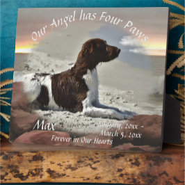 Plaque Photo Mémorial des animaux de compagnie des vagues et de