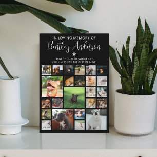 Plaque Photo Mémorial personnalisé pour animal de compagnie ave