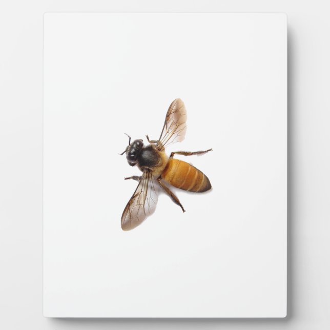 Plaque Photo Miel Bee (Devant)
