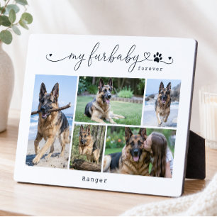 Plaque Photo Mon animal de compagnie blanc pour toujours Cadeau