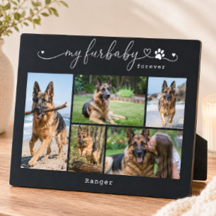 Plaque Photo Mon animal de compagnie pour toujours Cadeau photo