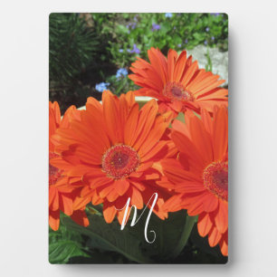 Plaque Photo Monogramme photo Orange Daisy