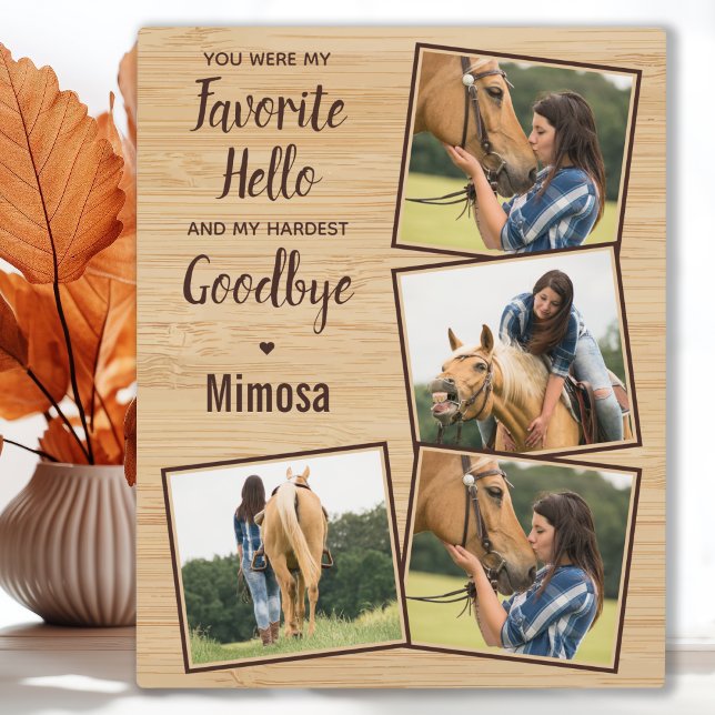 Plaque Photo Monument aux chevaux 4 Photo (Créateur téléchargé)