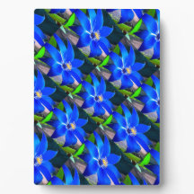 Motif de fleurs bleues profondes
