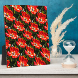 Plaque Photo Motif des Tulipes rouges