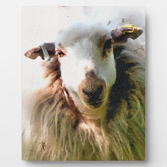 PLAQUE PHOTO MOUTON MIGNON (Devant)