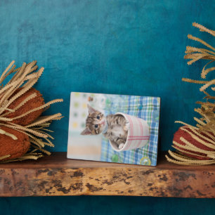 Plaque Photo Munchkin Kitten Avec Joli Ruban