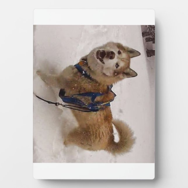 Plaque Photo Neige max avec l'Eau (5x7) (Devant)