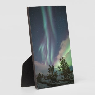 Plaque Photo Northern Lights Trees