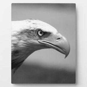Plaque Photo Oeil d'aigle noir et blanc